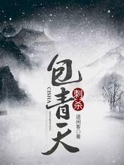 刺殺包青天
