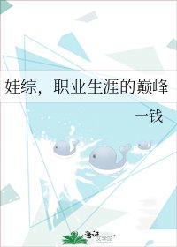 娃綜,職業生涯的巔峯