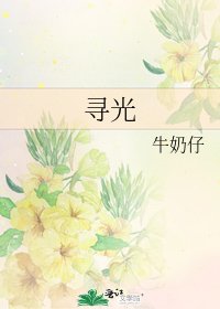 尋光